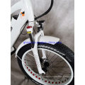 26" Suspension 1000W Bafang 48V MID Drive Motor Ebike Fat Tire Electric Bike